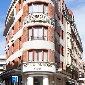 Ours Blanc - Wilson Tolosa